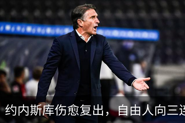 约内斯库伤愈复出，自由人向三连胜发起冲击